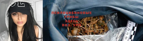 PSILOCYBIN Аркадак