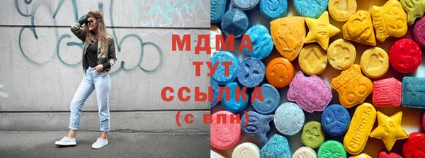 PSILOCYBIN Аркадак