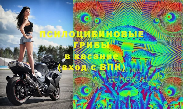PSILOCYBIN Аркадак