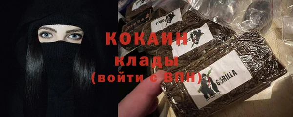 PSILOCYBIN Аркадак